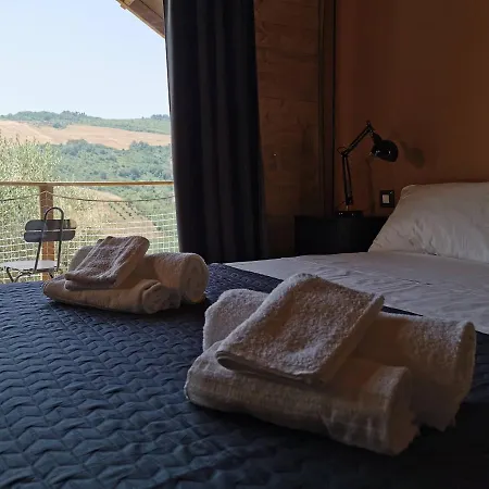 Glamping Immerso In Un Uliveto Biologico Secolare