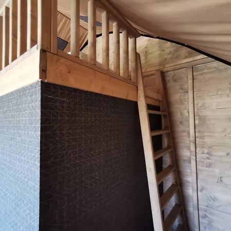 Glamping Immerso In Un Uliveto Biologico Secolare