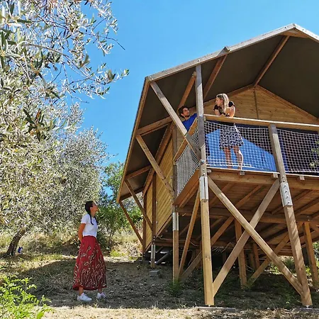 Glamping Immerso In Un Uliveto Biologico Secolare Città Sant'Angelo