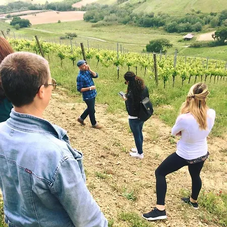 Glamping E Cirelliwines Abruzzo