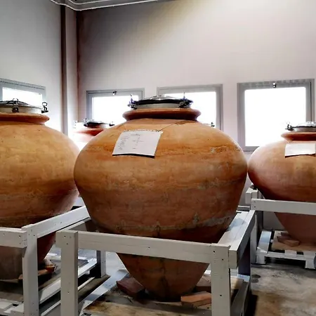 Glamping E Cirelliwines Abruzzo * Città Sant'Angelo