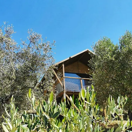 Lodge Glamping Immerso In Un Uliveto Biologico Secolare