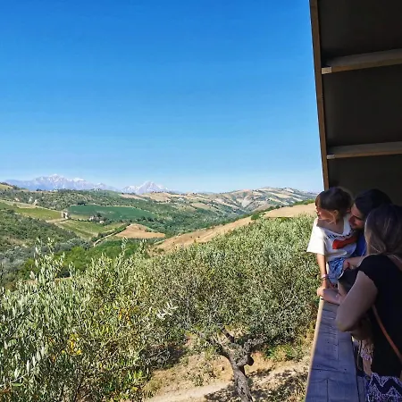 Lodge Glamping Immerso In Un Uliveto Biologico Secolare *