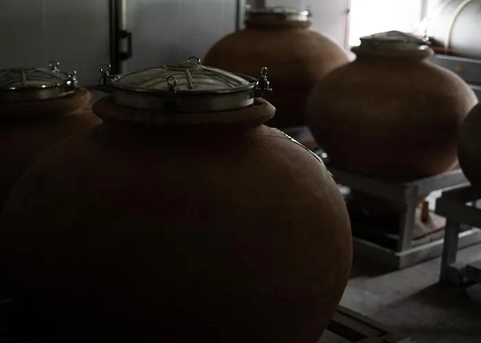 Glamping E Cirelliwines Abruzzo Деревянный коттедж