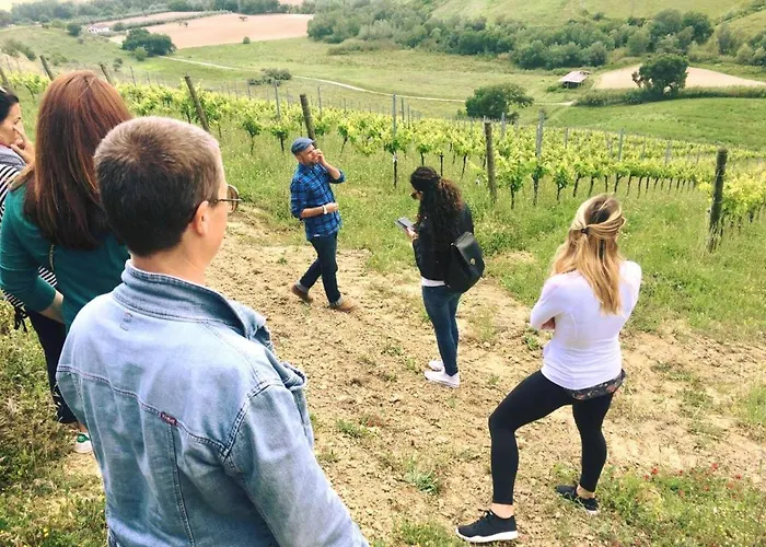 Glamping E Cirelliwines Abruzzo