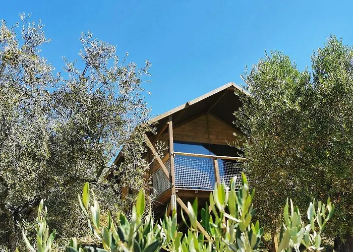 Деревянный коттедж Glamping E Cirelliwines Abruzzo